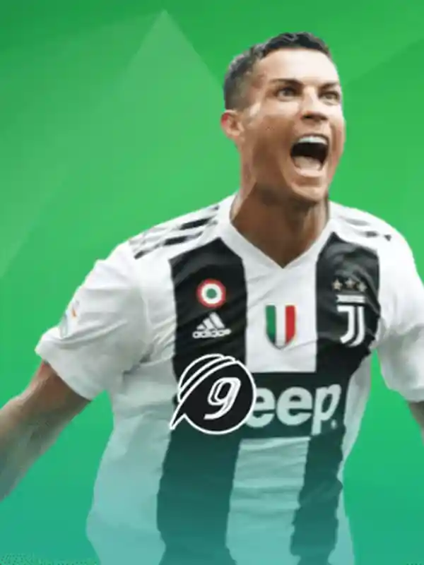 9wickets-খেলাধুলা